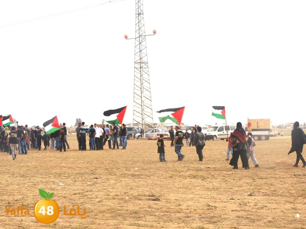 arddaynaqav331 (6).jpg